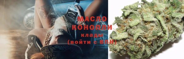молекула духа Нязепетровск