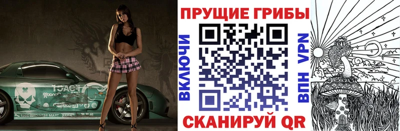 Купить Игарка Галлюциногенные грибы ЛСД